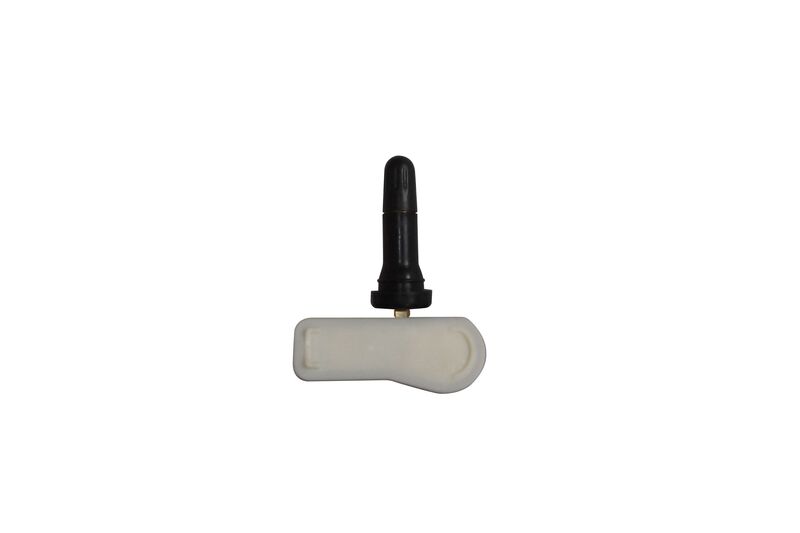 Radsensor, Reifendruck-Kontrollsystem