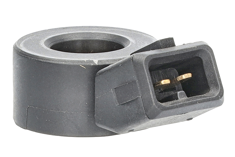 Klopfsensor